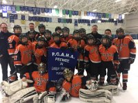 Seafair Peewee A2 - Flight 4 league winners